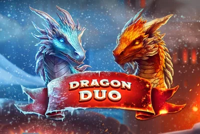 Dragon Duo slot